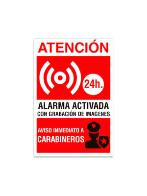 Alarma video vigilancia
