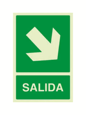 Salida (abajo - derecha)