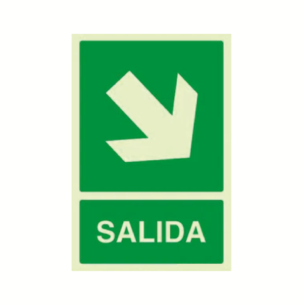 Salida (abajo - derecha)