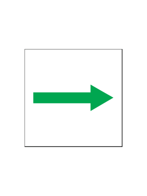 Vía de evacuación principal