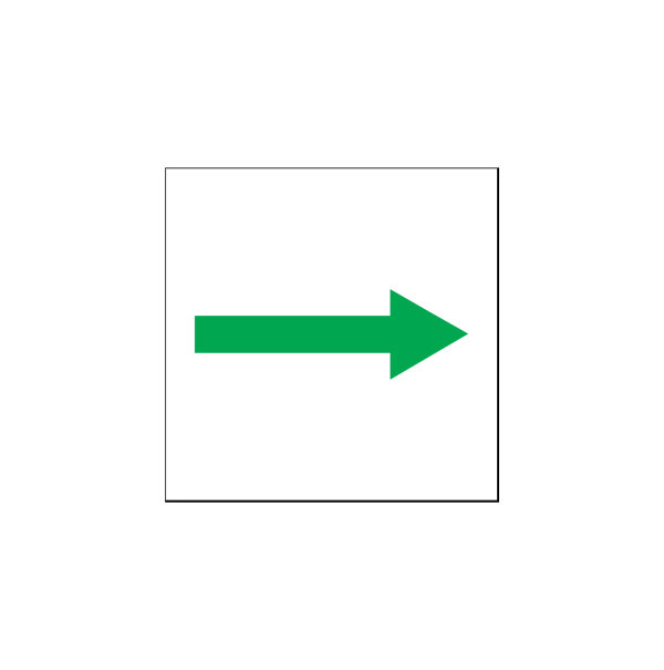 Vía de evacuación principal